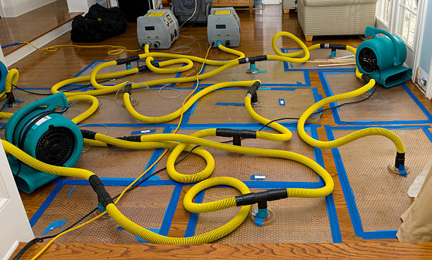 Professional Storm Water Damage Restoration technician working in Apple Valley, OH